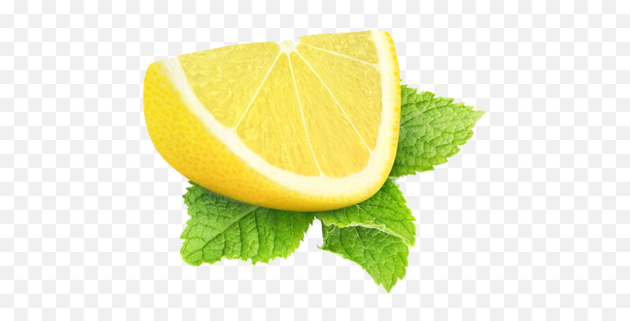 32 Lemon Wedges - Beautiful Lemon And Lime Png,Lemon Slice Png