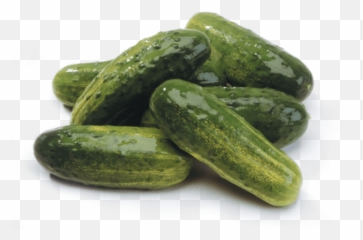 Pickles Png Clipart Images Gallery For - Chicago Style Hot Dog,Pickle Png
