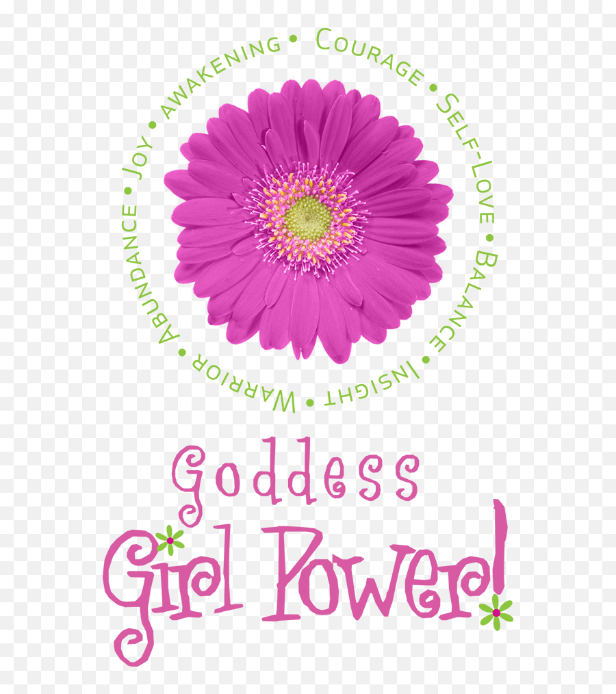 Girl Power Png - Barberton Daisy,Girl Power Png