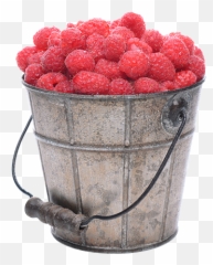 Raspberries Westmoreland Berry Farm Png