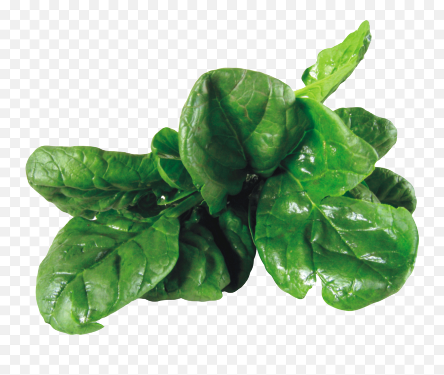 Spinach Png Image