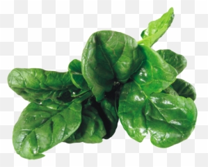 Spinach Png Image