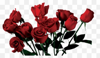 Download Aesthetic Flower Png Picture - Flowers