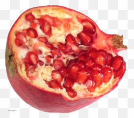 Pomegranate Transparent Png File - Pomegranate,Pomegranate Png