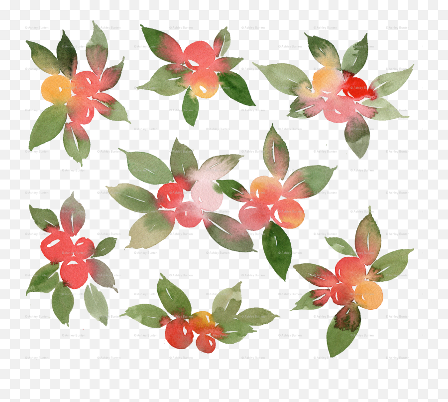Watercolor Holly Berry Wallpaper - Impatiens Png,Dogwood Png
