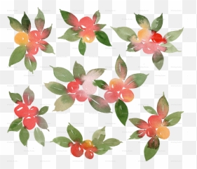 Watercolor Holly Berry Wallpaper - Impatiens Png,Dogwood Png