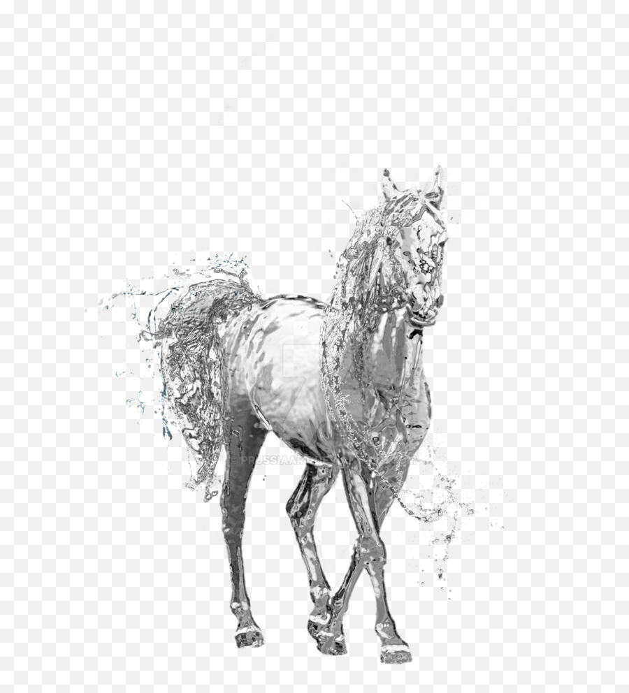 Water Horse Png Transparent - Water Horse Transparent Background,Horse Transparent