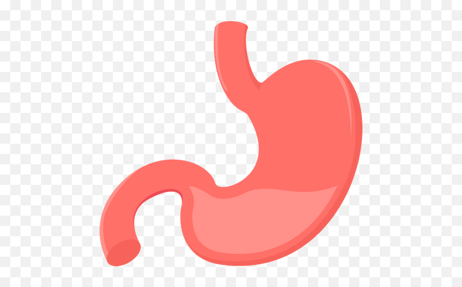 Stomach Icon Of Flat Style - Available In Svg Png Eps Ai Clip Art,Stomach Png