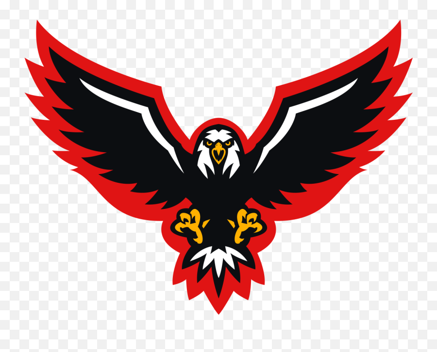 Eaglegarrett Fl0k - Bald Eagle Full Size Png Download Eagle Garrett,Bald Eagle Head Png