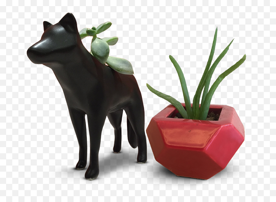 Design Planters In 3d Tinkercad - Cattle Png,Planters Png
