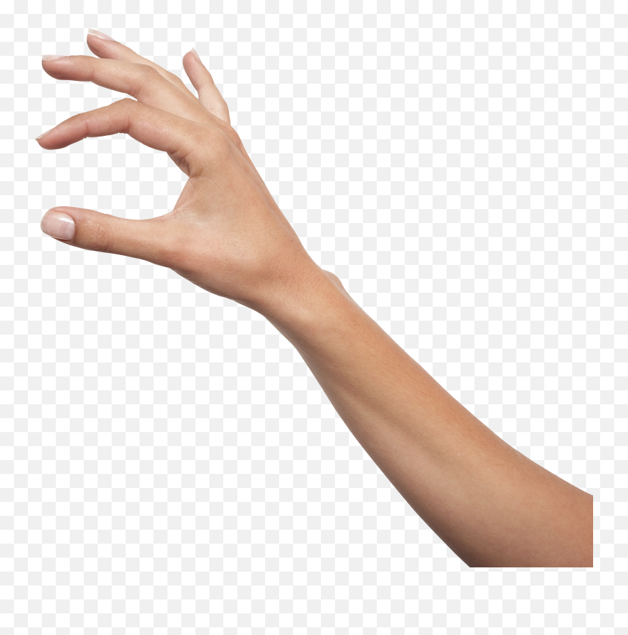 Finger Desktop Wallpaper Hand Computer Icons - Could Png Png Holding Hand Png,Could Png