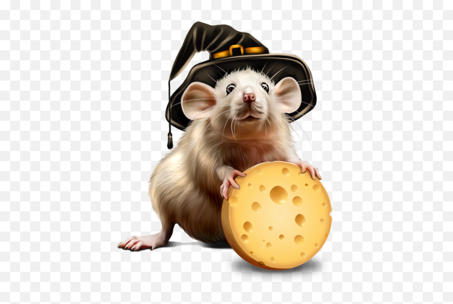 Computer Centerblog Boyard Mouse Hq Png - Computer Mice Rat Icon Png,Rat Transparent