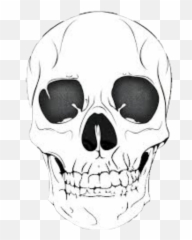 Download Calavera Skull Skeleton Esqueleto - Skull HD Creepy png