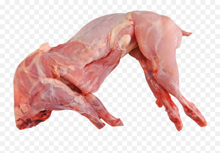 Rabbit Meat U0026 Poultry Kuala Lumpur Kl Malaysia - Rabbit Meat Png,Meat Transparent