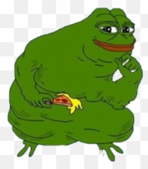 Download Pepe Frog Greenfrog Pepelove Love Cute Fat - The png