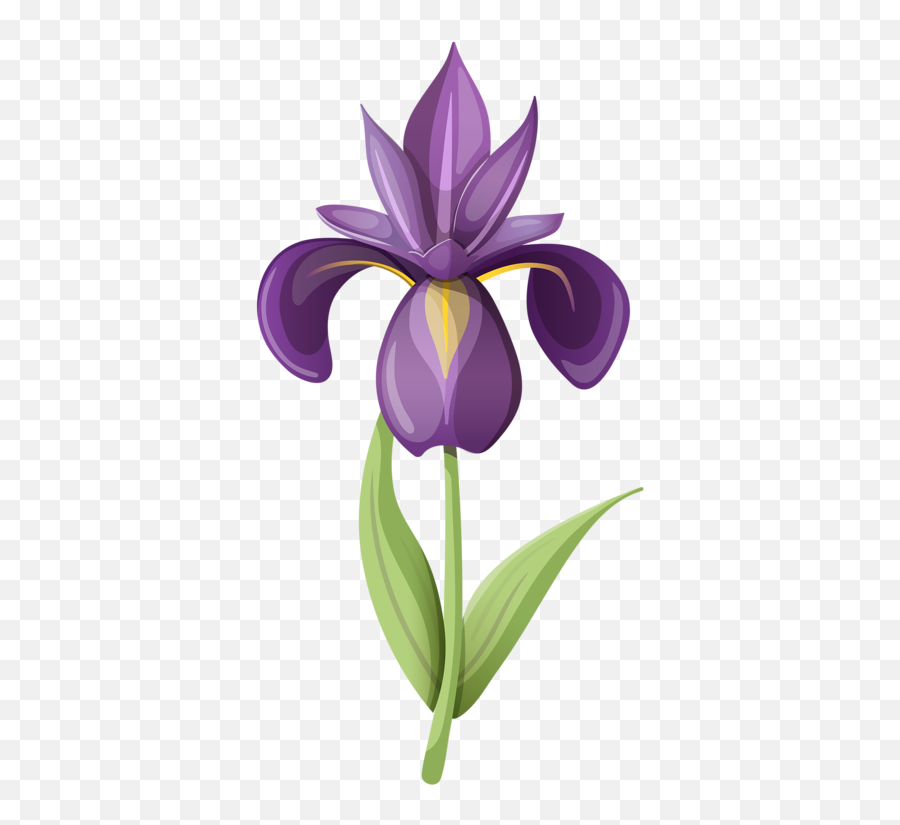 Flowers Clipart Bluebonnet Picture 1128875 - Iris Flower Iris Clip Art Png,Iris Flower Png