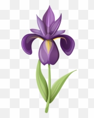 Flowers Clipart Bluebonnet Picture 1128875 - Iris Flower Iris Clip Art Png,Iris Flower Png