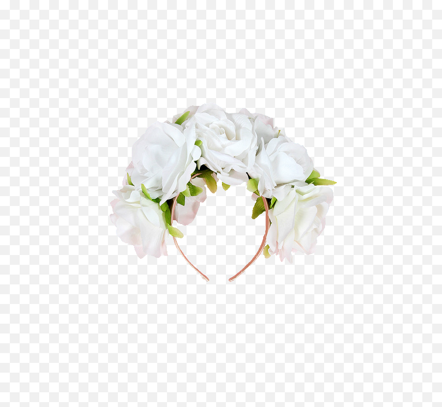 Download Flower Crown Png And - Garden Roses,Snapchat Flower Crown Png