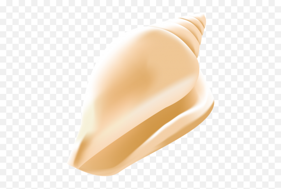 Seashell Png 51 - Png 7071 Free Png Images Starpng Seashell Conch Conch Clipart,Sea Shells Png