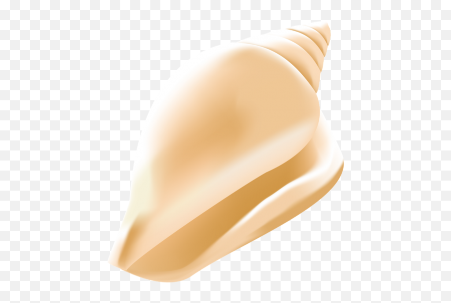 Seashell Png 51 - Png 7071 Free Png Images Starpng Seashell Conch Conch Clipart,Sea Shells Png Seashell Png 51 - Png 7071 Free Png Images Starpng Seashell Conch Conch Clipart,Sea Shells Png