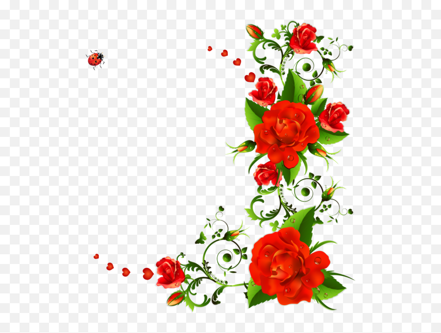 Flower Rose Drawing Red For Valentines Png Transparent