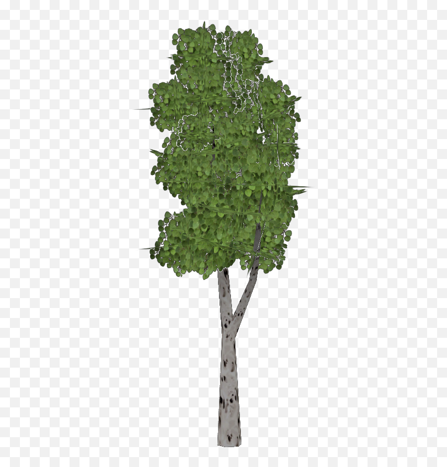 Trembling Aspen Tree Demon Hunter Zt2 Download Library - Vertical Png,Aspen Tree Png