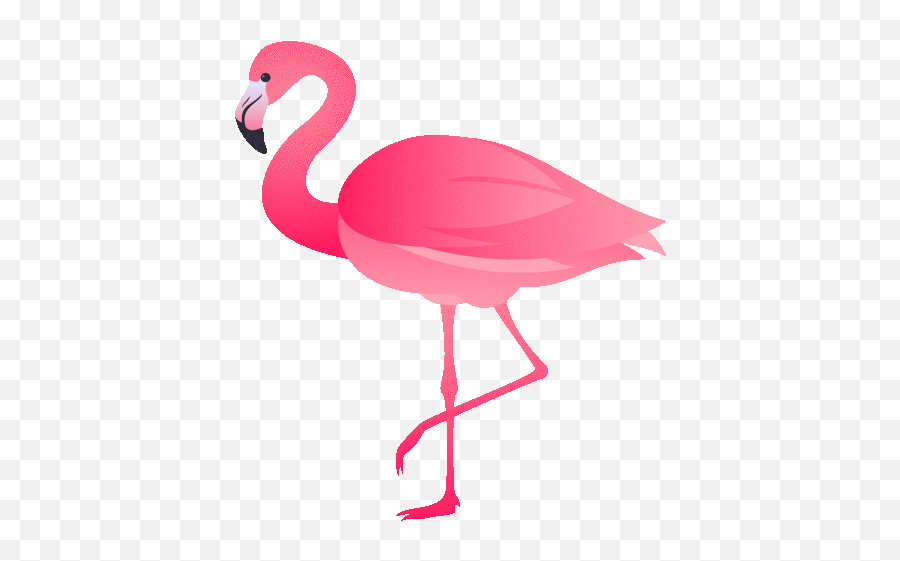 Flamingo Nature Gif - Flamingo Nature Joypixels Discover U0026 Share Gifs Flamingo Emojisi Png,Flamingo Icon