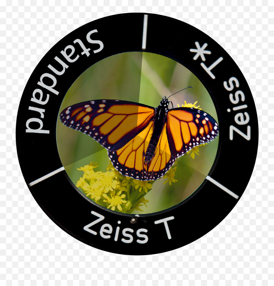 Zeiss Hunting Conquest V4 Riflescopes - Monarch Butterfly Png,Icon Viceroy