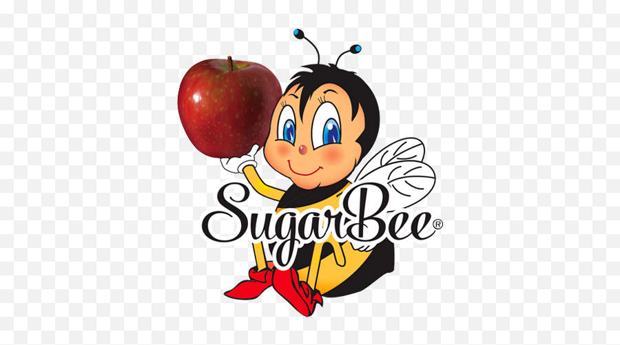 Sugarbee Apples Chelan Fresh The Story - Sugar Bee Apple Png,Large Apple Icon