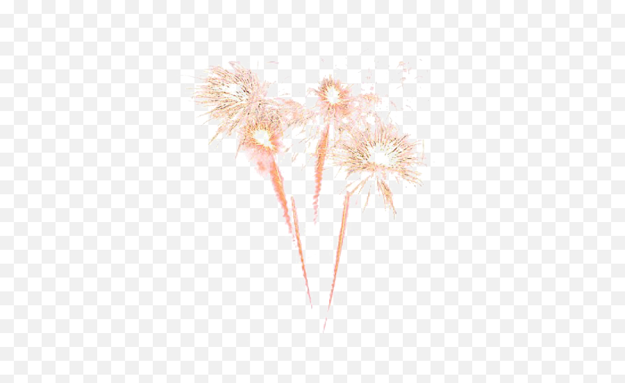 Download Fireworks Transparent Image - Fireworks Png Image Fireworks,Fireworks Transparent Background