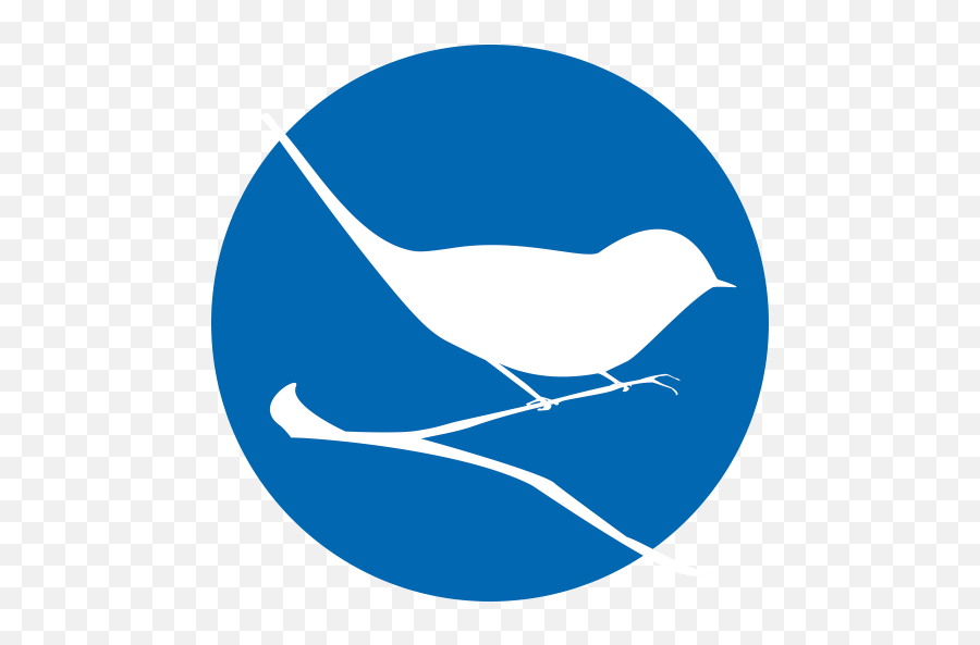 Bird Journal - Apps En Google Play Old World Flycatchers Png,Birdhouse Icon