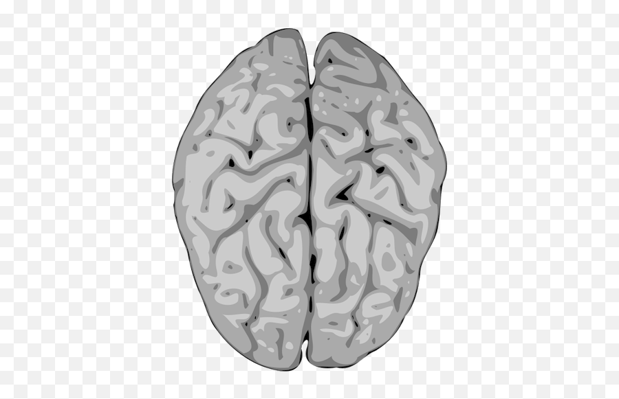 Blurry Vector Image Of Human Brain Public Domain Vectors Png Icon Transparent Background