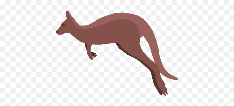 Transparent Png Svg Vector File - Canguru Png,Kangaroo Transparent Background