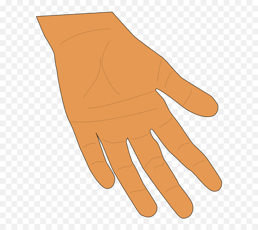 Png Hand Palm Fingers Human - Hand Brown,Hand Palm Png