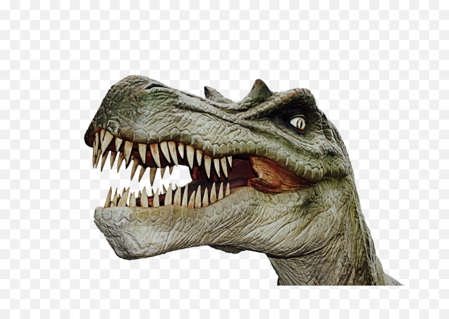 T Rex Head Png - Dinosaur Head Png,Tyrannosaurus Rex Png