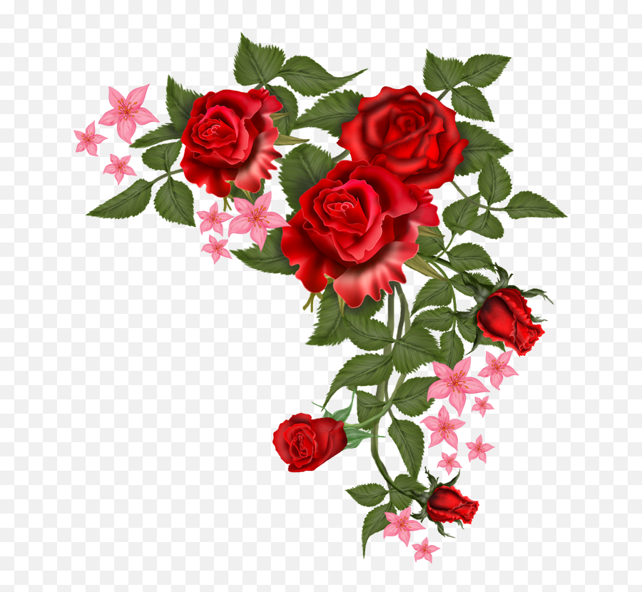 Red Flower Vector - Vector Red Flowers Png,Red Rose Png