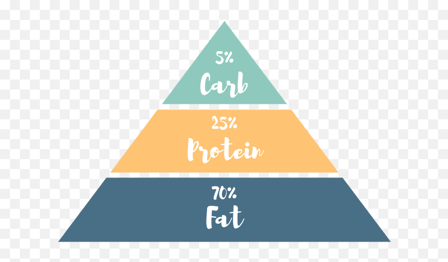 Ketogenic Diet 101 Definition Types U0026 Basics - Trias Energetica Png,Food Pyramid Png