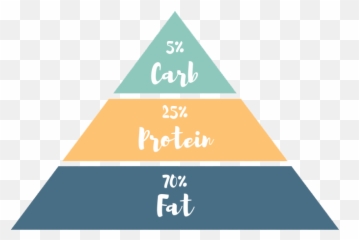 Ketogenic Diet 101 Definition Types U0026 Basics - Trias Energetica Png,Food Pyramid Png
