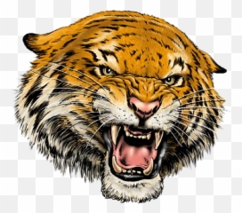 Tete De Tigre Png Image - Tiger Smile,Tigre Png