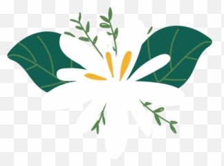 Free Online Flowers Green Leaves - Clip Art png