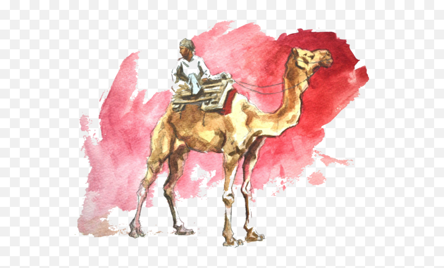 Download Travel Destinations - Watercolor Camel Png Image Arabian Camel,Camel Transparent