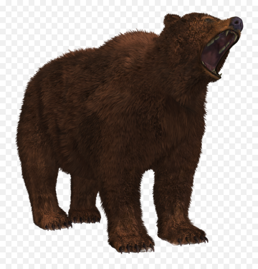Download Free Bear Png 8 Icon Favicon - Png Peninsular Grizzly Bear Transparent,Brown Bear Png