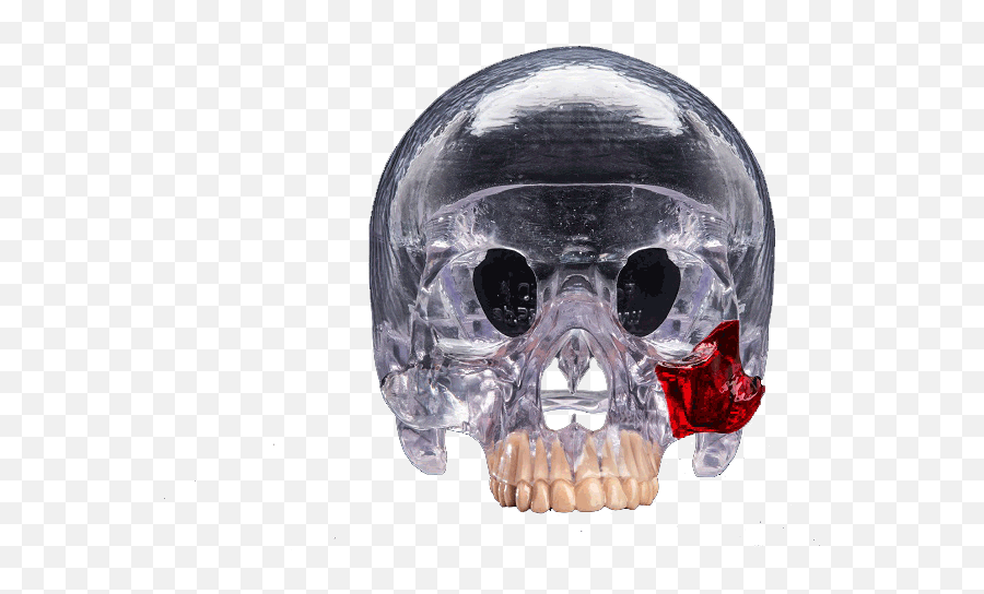 Download Hd 3d Printed Head Skull - 3d Printing Png,Skull Transparent