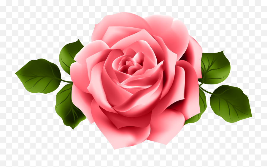 Download Go To Image - Pink Red Rose Png,Pink Roses Png