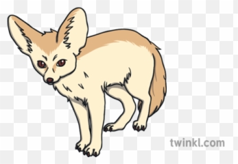 Fennec Fox Animal Predator Desert - Fennec Class School Png,Fennec Fox Png