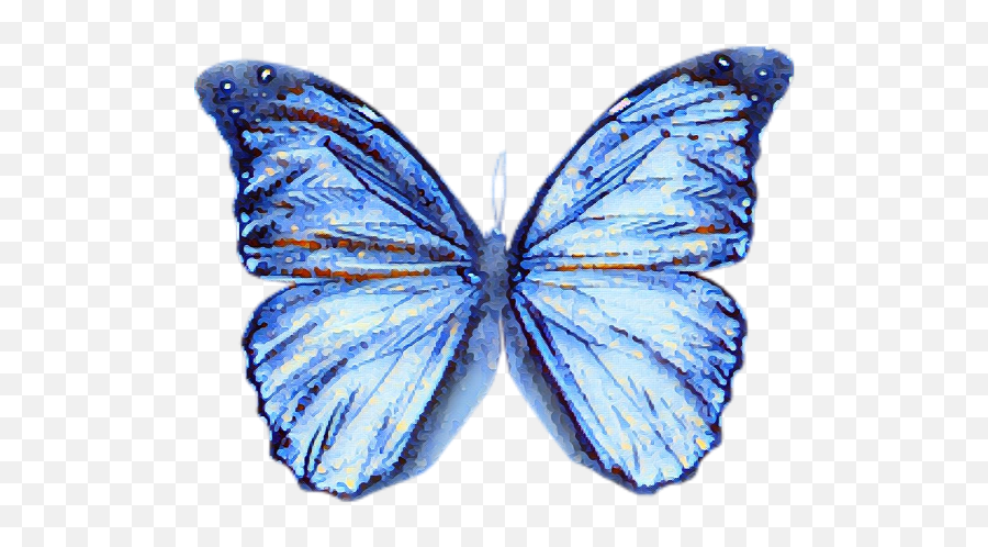 Butterfly Blue Watercolour Blur Effect - Transparent Background Green Butterfly Png,Blur Effect Png