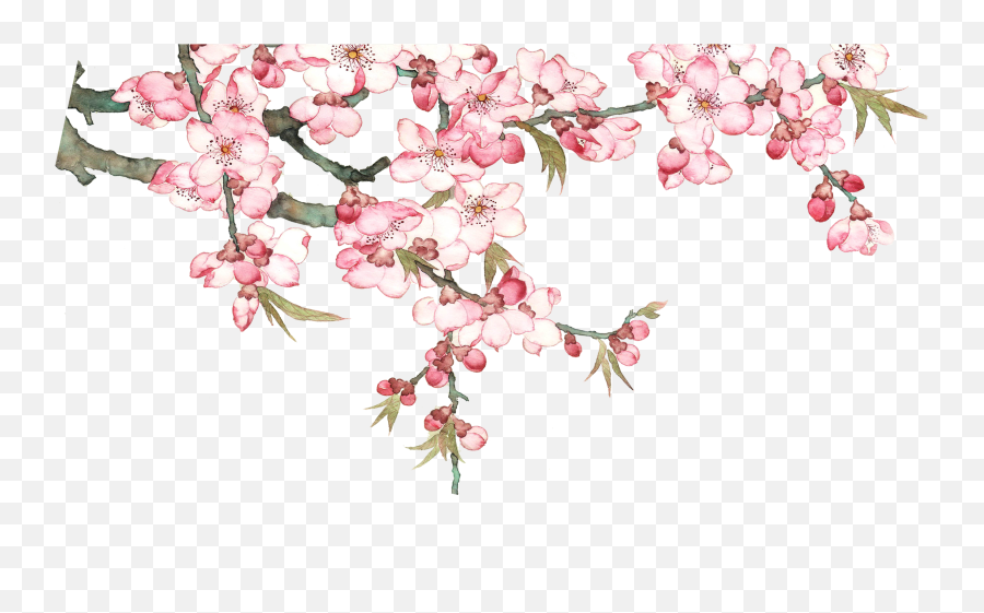 Watercolor Blossom Tree Pixel P Png