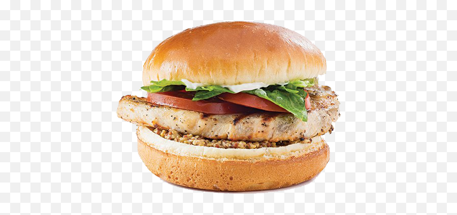 Grilled Sandwich Png Photos Play - Gril Chicken Burger Png,Bun Png
