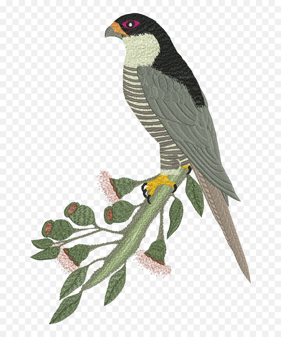 Download Machine Embroidery Design - Falcon Full Size Png Accipitridae,Falcon Transparent