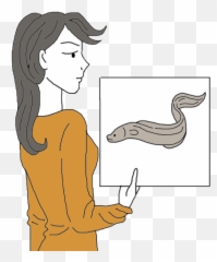 Download Eel Dream Meanings - Sketch Hd Png Download Uokplrs American Eel,Eel Png